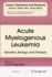 Digital Typefaces: Description and Formats