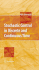 Stochastic Control in Discrete and Continuous Time