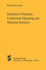 Dirichlet? ? S Principle, Conformal Mapping, and Mini