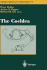The Cochlea (Volume 8)