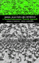 Model Selection and Inference: a Practical Information-Theoretic Approach