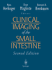 Clinical Imaging of the Small Intestine