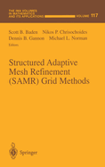 Structured Adaptive Mesh Refinement (Samr) Grid Methods