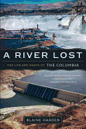 A River Lost