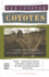 Coyotes: a Journey Across Borders With America's Mexican Migrants