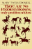 There Are No Problem Horses, Only Problem Riders