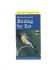 Birding By Ear: a Guide to Bird-Song Identification/Eastern/Central (Peterson Field Guide Series/Book & 3 Cassettes)