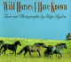 Wild Horses I Have Known