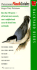 Peterson's Flashguides Backyard Birds