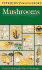 A Field Guide to Mushrooms: North America (Peterson Field Guides)