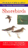 Shorebirds (Peterson Field Guides for Young Naturalists)