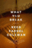 What You Break (a Gus Murphy Novel)