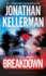 Breakdown: an Alex Delaware Novel