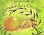 Armadillo's Orange