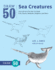 Draw 50 Sea Creatures: the Step-By-Step Way to Draw Fish, Sharks, Mollusks, Dolphins, and More (Draw 50)