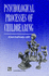 Psychological Processes of Childbearing