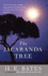 Jacaranda Tree, the