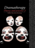 Dramatherapy: Theory and Practice 2: Vol 2
