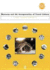 Museums and the Interpretation of Visual Culture (Museum Meanings)