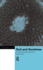 God and Goodness: a Natural Theological Perspective (Routledge Studies in the Philosophy of Religion)