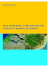 Salt Intrusion, Tides and Mixing in Multi-Channel Estuaries