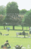 Innovative Approaches to Researching Landscape and Health: Open Space: People Space 2