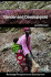 Gender and Development (Routledge Perspectives on Development)