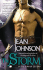 Storm, the: a Novel of the Sons of Destiny (Sons of Destiny Novels)