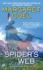 The Spider's Web (a Wind River Reservation Mystery)