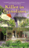 Killer in Crinolines (a Consignment Shop Mystery)