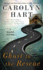 Ghost to the Rescue (a Bailey Ruth Ghost Novel)