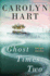 Ghost Times Two (a Bailey Ruth Ghost Novel)
