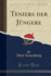 Teniers Der Jngere Classic Reprint