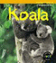 Animals in Danger: Koala (Animals in Danger)