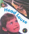Bug Books: Head Louse (Bug Books)