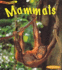 Mammals (Animal Young)