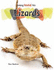 Lizards (Keeping Unusual Pets)