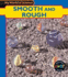 My World of Science: Rough and Smooth (My World of Science)