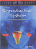 Body Focus: the Reproductive System (Body Focus)