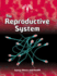 The Reproductive System (Body Focus)