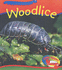 Little Nippers-Creepy Creatures: Woodlice (Little Nippers)