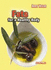 Fats for a Healthy Body (Body Needs)