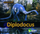 Diplodocus (Dinosaurs)