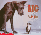Big and Little (Learning Center Emergent Readers)