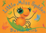 Little Miss Spider
