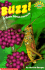 Buzz! : a Book About Insects (Hello Reader Science Level 3)