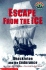 Escape From the Ice: Shackleton and the Endurance (Hello Reader Level 4)