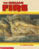 The Chicago Fire