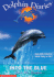 Into the Blue (Dolphin Diaries #1)