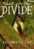 Back to the Divide